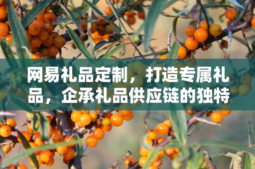 网易礼品定制，打造专属礼品，企承礼品供应链的独特魅力